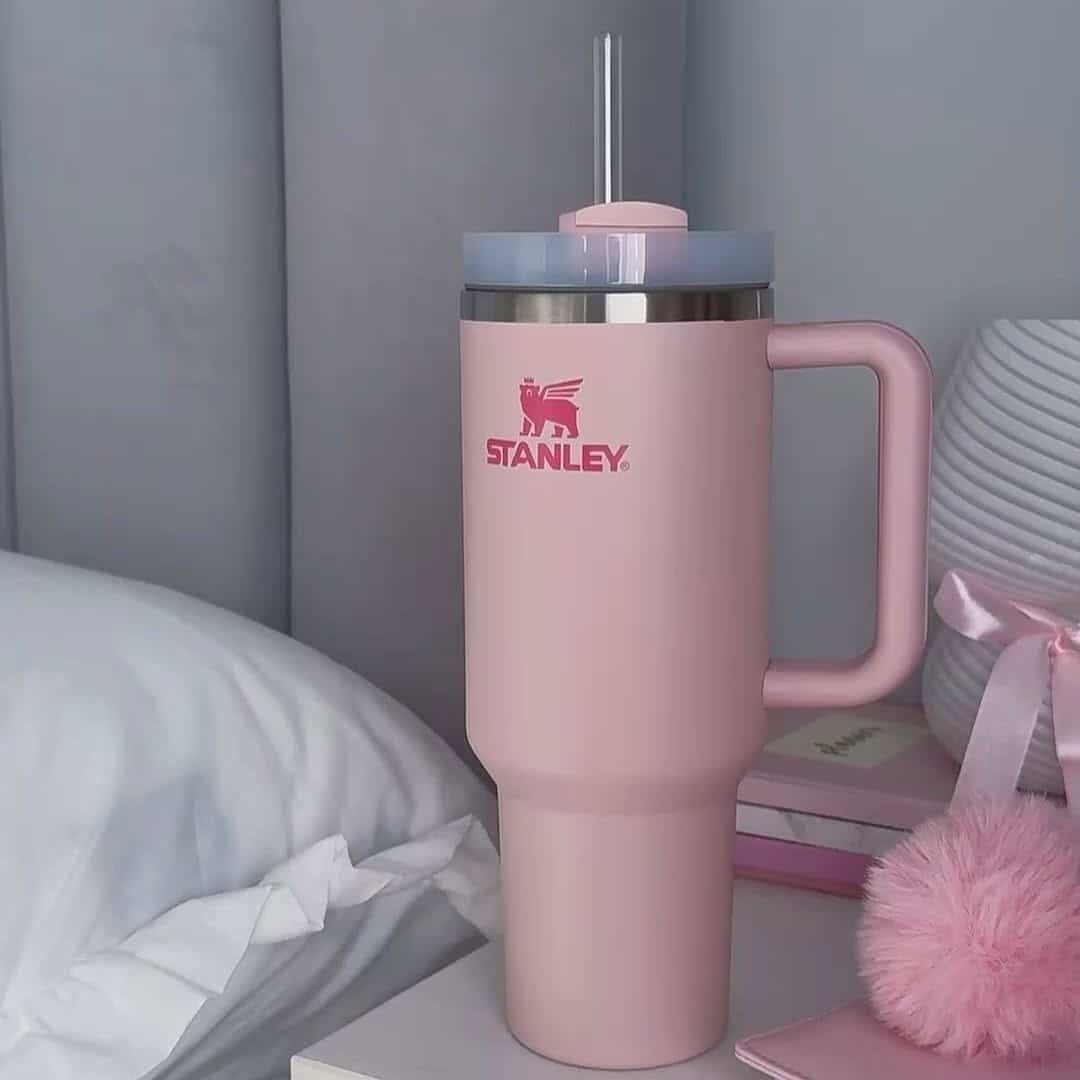 رنگبندی ماگ استنلی